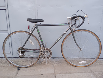 Schwinn Traveller