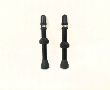 Tubeless valve