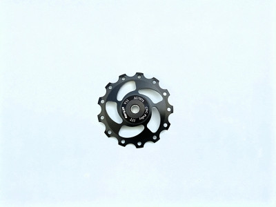 Derailleur Roller