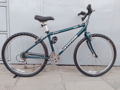 Cannondale M300