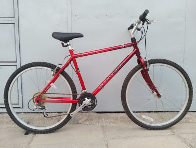 Schwinn Frontier